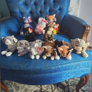 Ty Beanie Babies Cats Bundle